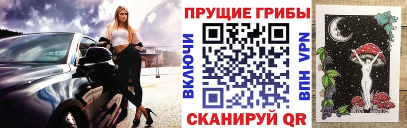 Галлюциногенные грибы Psilocybe  Губаха 